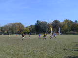 Click to see PA210119.JPG